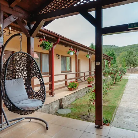 Pensiunea Mirabilandia Guest house Negreni